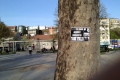 AfghanPark1