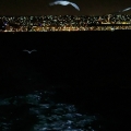 Flight 1 - Izmir