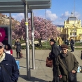 The Wait - Zagreb